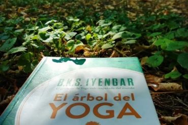 Hatha Yoga
